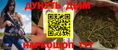 крисы Лесосибирск