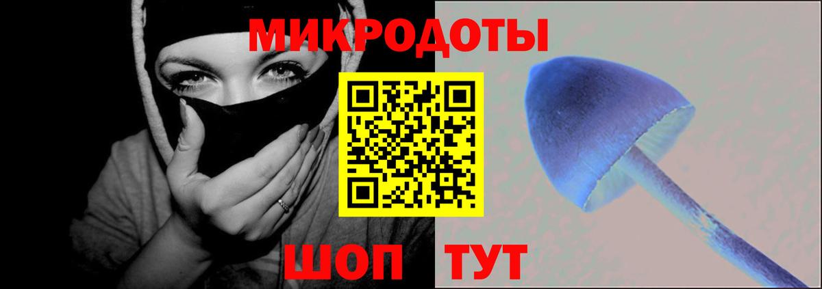 Жигулёвск  Псилоцибиновые грибы Cubensis  Вход с VPN 